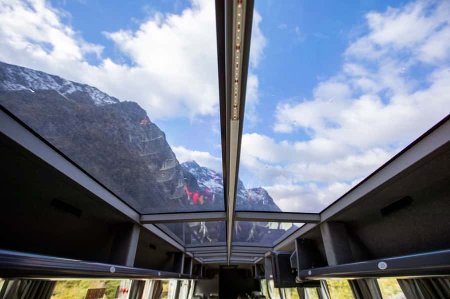 From Te Anau: Milford Sound Cruise & Glass-Roof Coach Tour - Te Anau to Milford Sound: what you’re really buying for $130