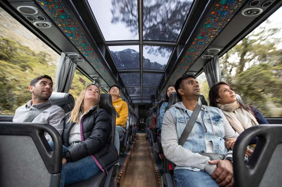 From Te Anau: Milford Sound Cruise & Glass-Roof Coach Tour - Timing, comfort, and the one thing to watch at the start