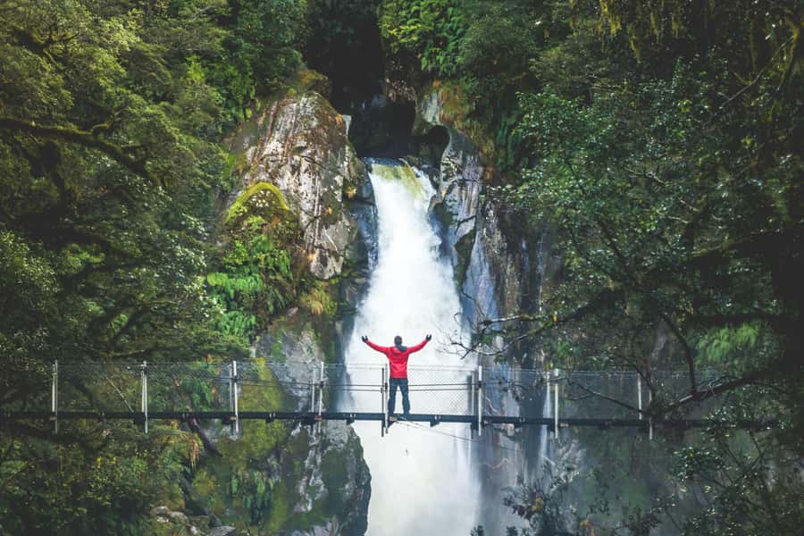 From Te Anau: Milford Sound Cruise & Track Walk by Coach - On Milford Sound: waterfalls up close, wildlife if you get lucky