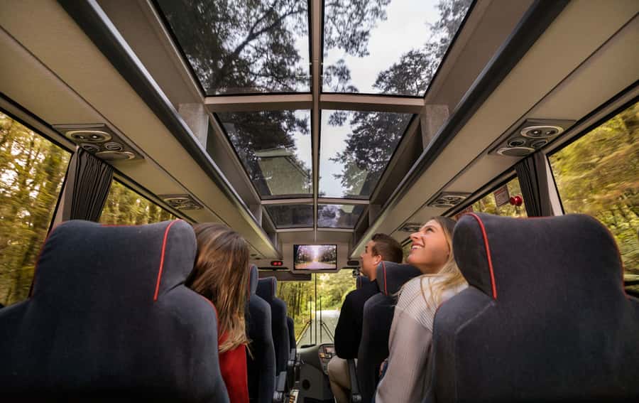 From Te Anau: Milford Sound Premium Bus Tour and Cruise - Key highlights that make this one-day Milford Sound trip work