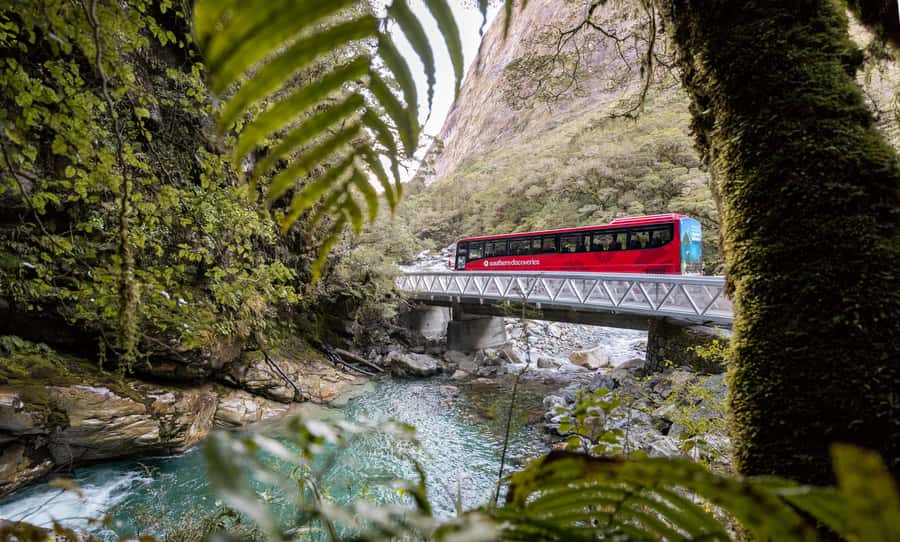From Te Anau: Milford Sound Premium Bus Tour and Cruise - Who this tour is perfect for, and who should think twice