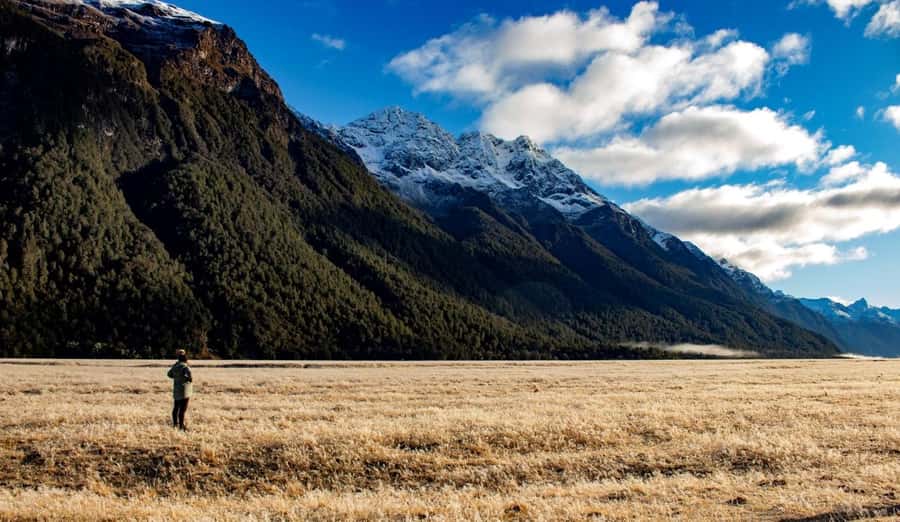 From Te Anau: Milford Sound Small-Group Tour Including Lunch - Wildlife odds: kea on land, dolphins and seals on the water
