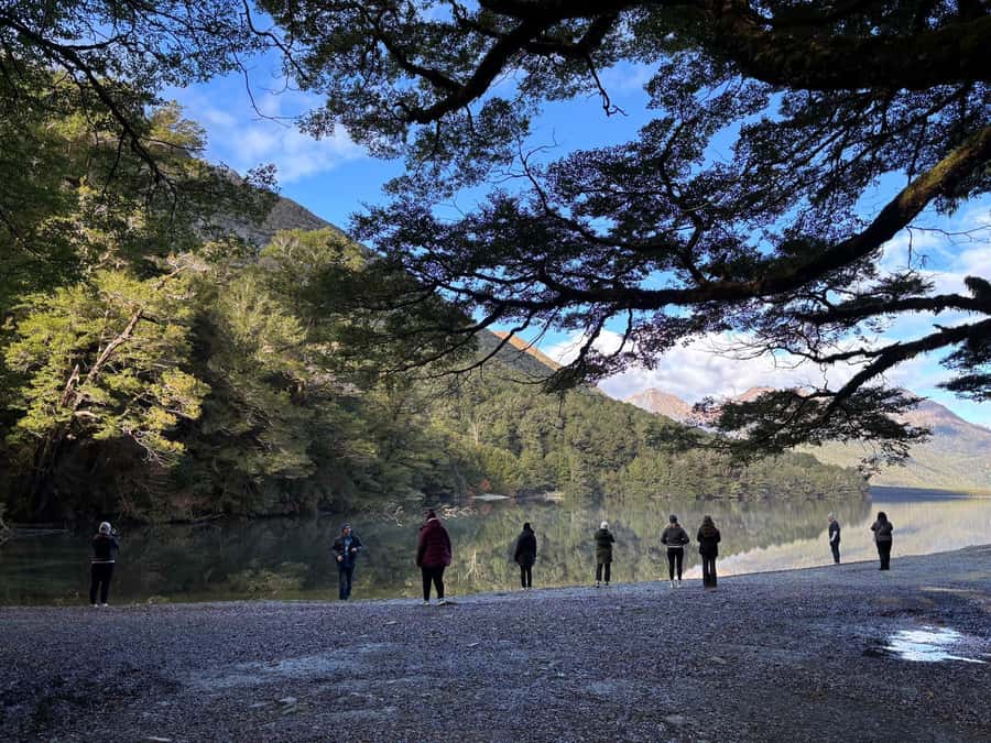 From Te Anau: Milford Sound Small-Group Tour Including Lunch - The Chasm bush walk and Pop’s View Lookout on the way back