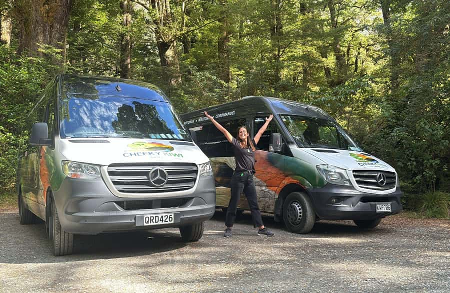 From Te Anau: Milford Sound Small-Group Tour Including Lunch - Timing, comfort, and what to bring for a 9-hour day