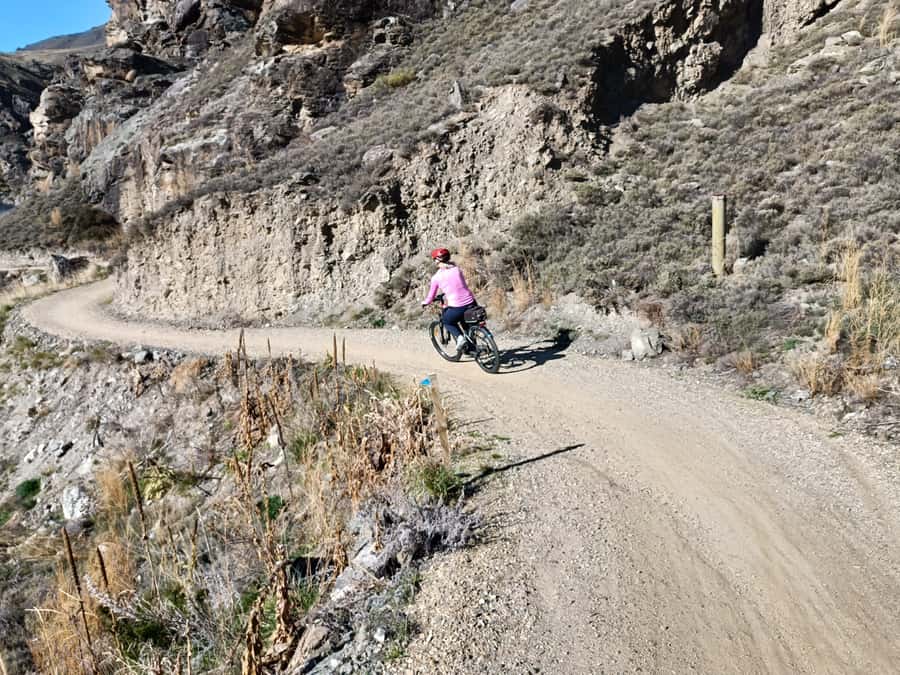 From Wanaka - Bike the Dunstan Trail with shuttle return - Route rhythm: stopping at viewpoints and Carrick Winery along the way