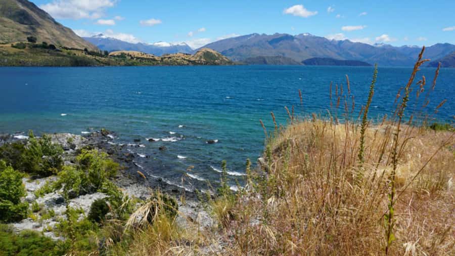 From Wanaka: Ruby Island 1-Hour Cruise and Photo Walk - Ruby Island in one hour, and why that speed matters