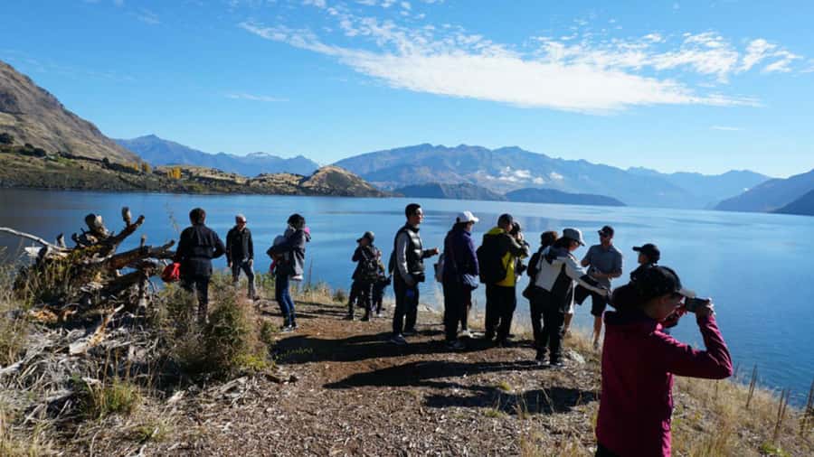 From Wanaka: Ruby Island 1-Hour Cruise and Photo Walk - Who should book this Ruby Island photo walk