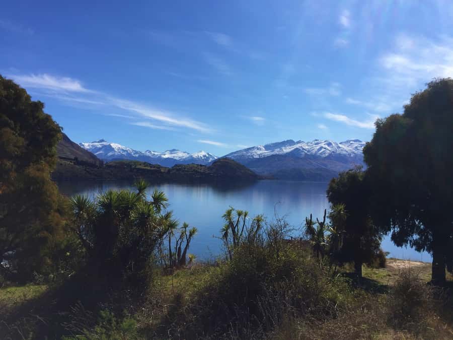 From Wanaka: Ruby Island 1-Hour Cruise and Photo Walk - Getting to the Wanaka lakefront: meeting point done the simple way