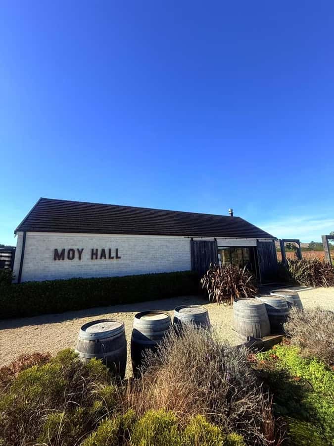 From Wellington: Half-Day Foodie Tour of the Wairarapa - Key highlights you should know before you go