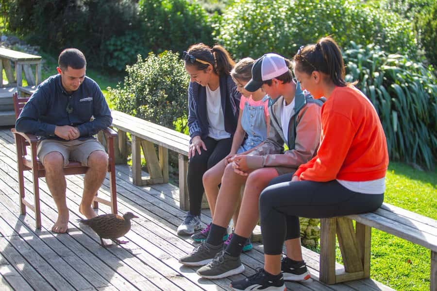 From Wellington: Kapiti Island Classic Guided Day Tour - Key highlights you will care about