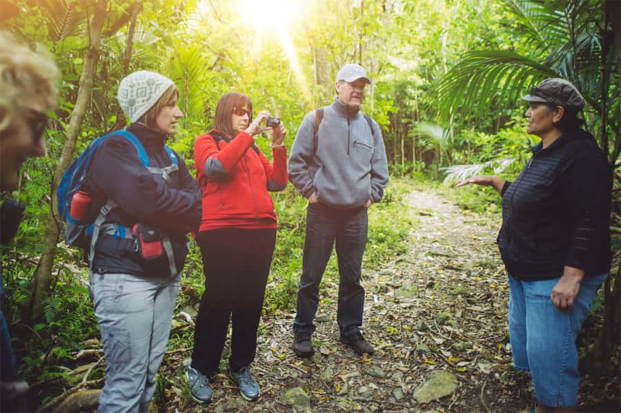 From Wellington: Kapiti Island Classic Guided Day Tour - From Wellington to Paraparaumu: the start is part of the value