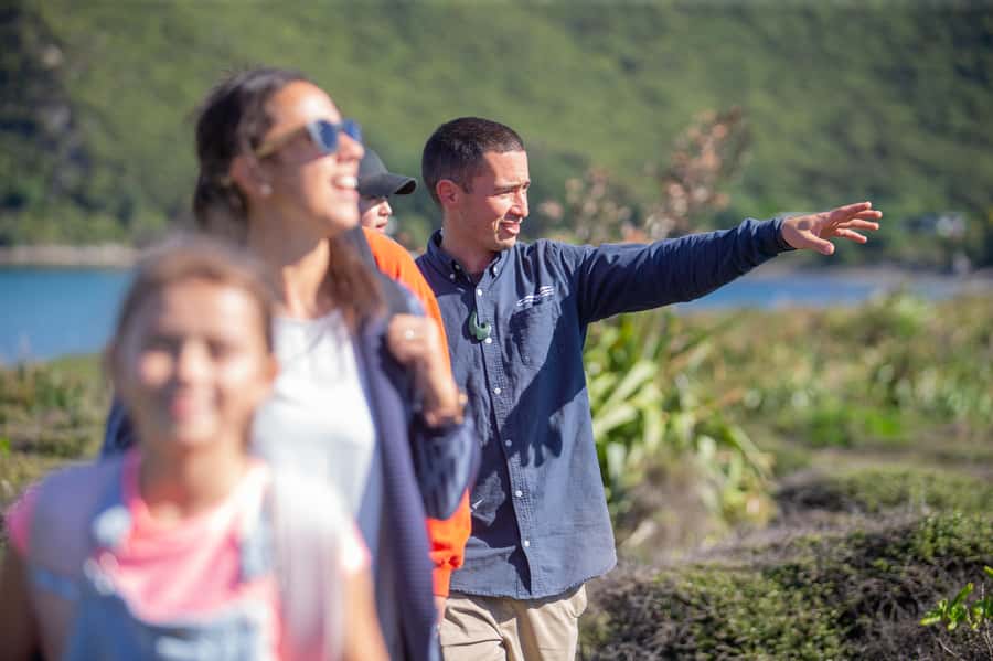 From Wellington: Kapiti Island Classic Guided Day Tour - Waiorua Bay on Kapiti Island: the guided walk is the heart