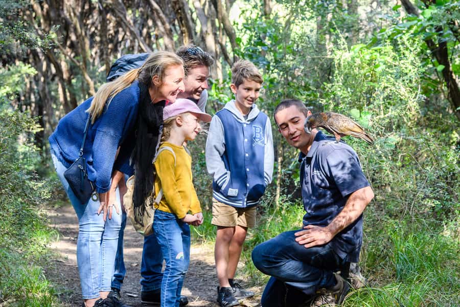 From Wellington: Kapiti Island Classic Guided Day Tour - Price and value: what you are paying for at $298