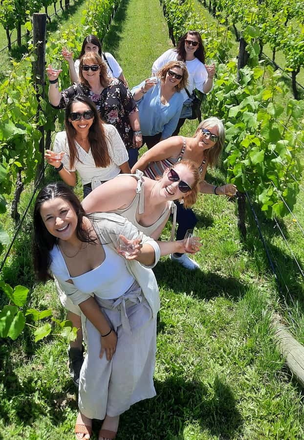 From Wellington: Martinborough Winery Tour - Key Things I’d Prioritize