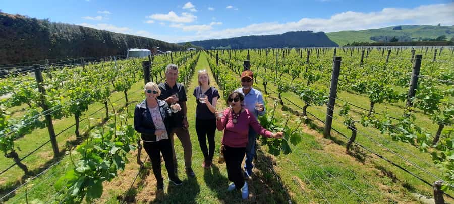 From Wellington: Martinborough Winery Tour - Martinborough in 5.5 Hours: The Real Value of This Wellington Day Trip