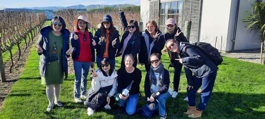 From Wellington: Martinborough Winery Tour - Palliser Estate (and Margrain Vineyard): Premium Tastings With a Strong Sense of Place