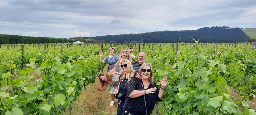 From Wellington: Martinborough Winery Tour - Timing and Pacing: Why It Doesn’t Feel Too Rushed