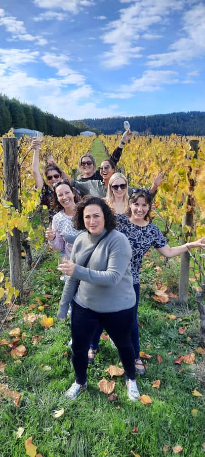From Wellington: Martinborough Winery Tour - Wellington Pickup to Remutaka Ranges: The 555m Views That Start the Day