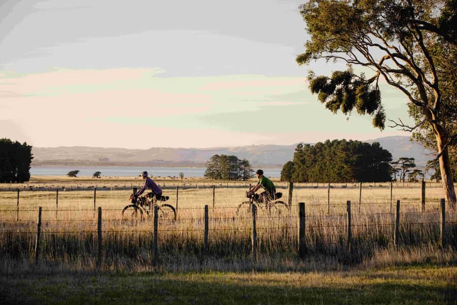 From Wellington: Remutaka Rail Trail eBike Tour - Quick hits to know before you go