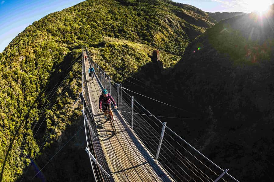 From Wellington: Remutaka Rail Trail eBike Tour - Riding Remutaka on an eBike means your legs choose the scenery