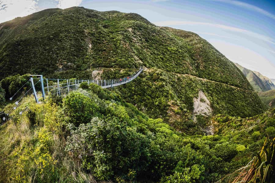From Wellington: Remutaka Rail Trail eBike Tour - Headlights in the tunnels: the most unforgettable pedal moment