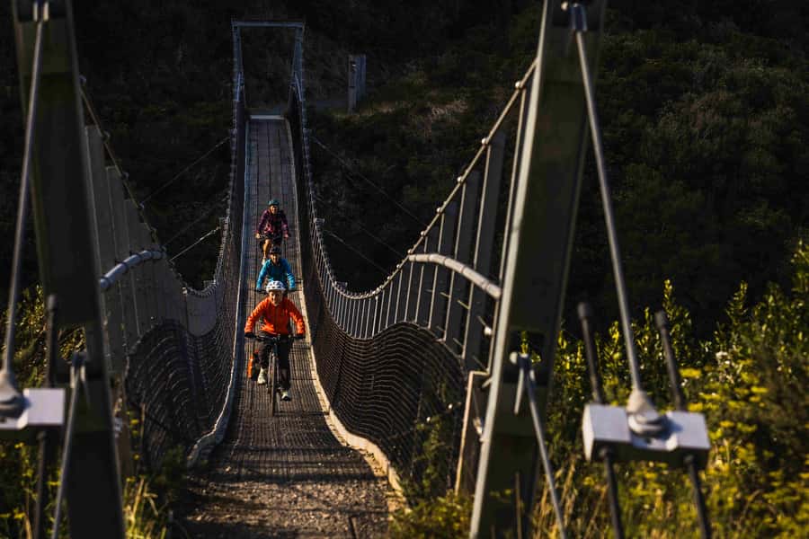 From Wellington: Remutaka Rail Trail eBike Tour - Cross Creek and the narrow stretch: where comfort matters most