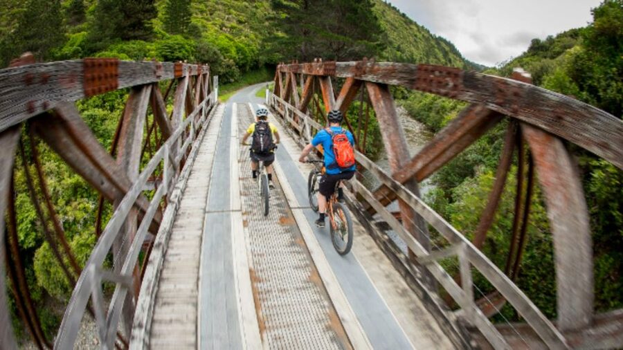 From Wellington: Remutaka Rail Trail eBike Tour - Food, bikes, and the little safety perks you actually feel