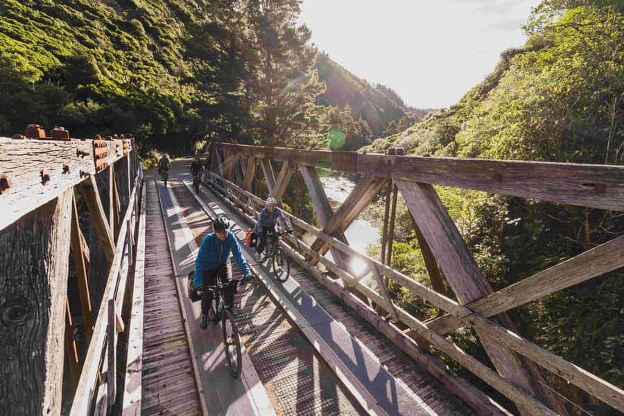From Wellington: Remutaka Rail Trail eBike Tour - Fitness, skill, and who this tour suits best