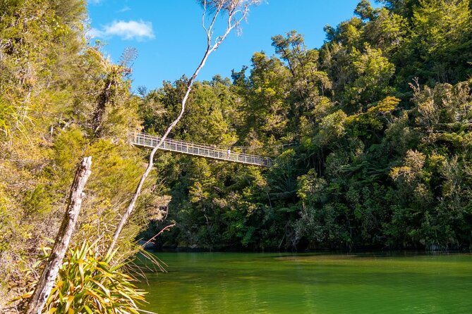 Full-Day Abel Tasman National Park Hiking Tour with Cruise - Group Size, Pace, and Who This Tour Suits Best