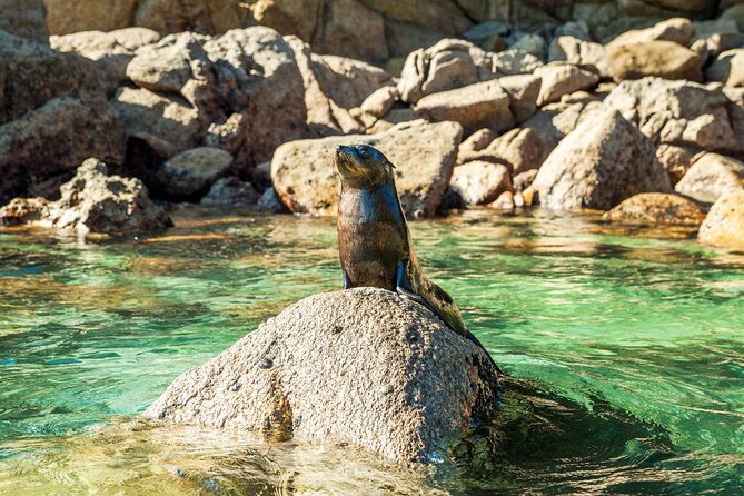 Full-Day Abel Tasman National Park Hiking Tour with Cruise - Price Check: What $371.72 Buys You in Real Terms