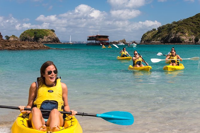 Full-Day Adventure Cruise with Lunch in Bay of Islands - Key things to know before you go