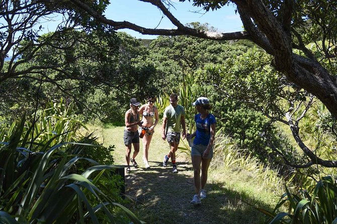 Full-Day Adventure Cruise with Lunch in Bay of Islands - Kayaking and snorkelling: why the water time feels like the real trip