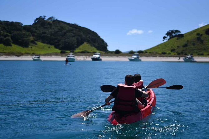 Full-Day Adventure Cruise with Lunch in Bay of Islands - Fresh seafood moments: mussels, sea urchins, and eating what you earn
