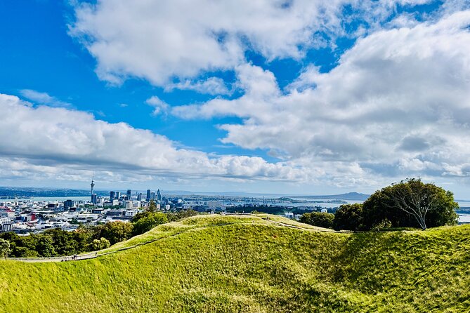 Full-Day Auckland Discovery - Key highlights you will actually feel