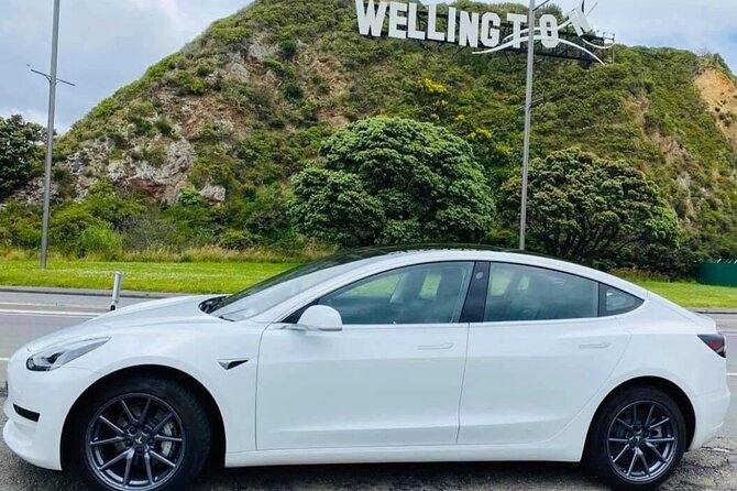 Full-Day Driver with Tesla Car-Customisable North Island Tour - A Tesla-style private driver is the right way to do the North Island