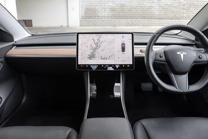 Full-Day Driver with Tesla Car-Customisable North Island Tour - Waitomo Glowworm Caves: the starry-sky effect