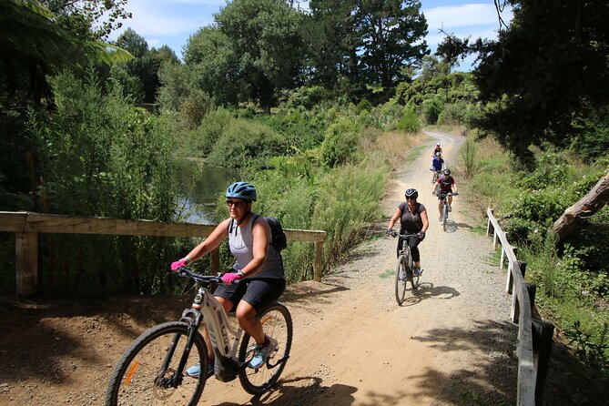 Full Day Ebike Tour in Karangahake Gorge (ex Auckland) - Waihi’s Martha Mine pit rim: crater views with a guide’s context