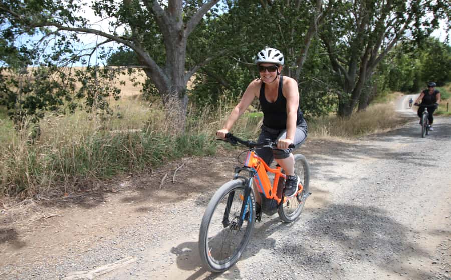 Full Day Ebike Tour - Karangahake Gorge NZ - Key Points at a Glance