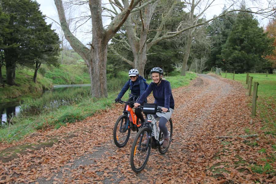 Full Day Ebike Tour - Karangahake Gorge NZ - Karangahake Gorge, One Full Day From Auckland