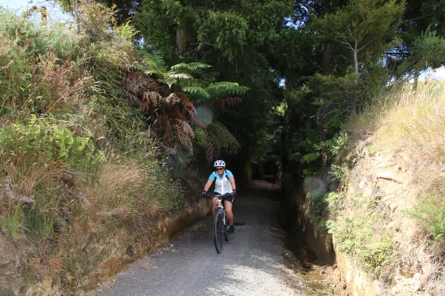 Full Day Ebike Tour - Karangahake Gorge NZ - E-Bikes for Beginners, With Real Route Support