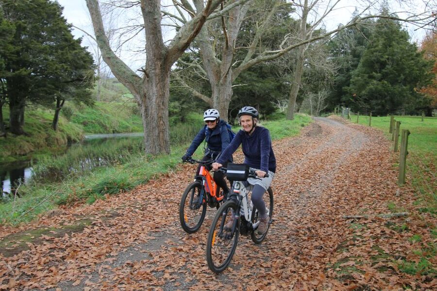 Full Day Ebike Tour - Karangahake Gorge NZ - Waikino to Waihi: Morning Tea on the Rail Trail
