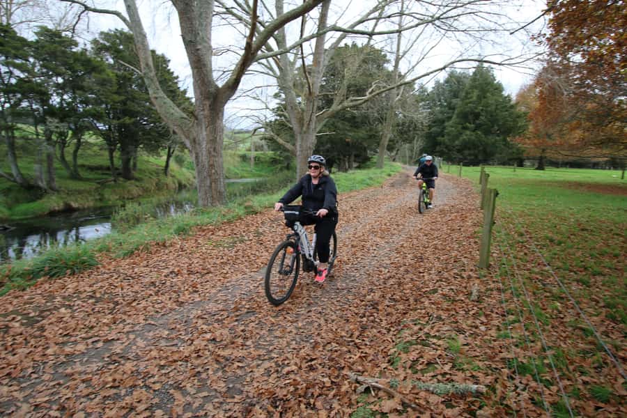 Full Day Ebike Tour - Karangahake Gorge NZ - The Martha Gold Mine Pit Extension: A Scenic Detour Worth It