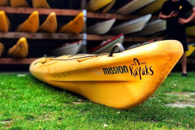 Full-Day Freedom Kayak Rental in New Zealand - Adele Island Sanctuary: Birds, Seals, and the Soundtrack of the Coast