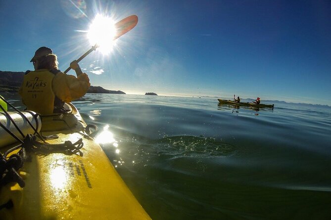 Full-Day Freedom Kayak Rental in New Zealand - The Unguided Setup: Freedom With Structure