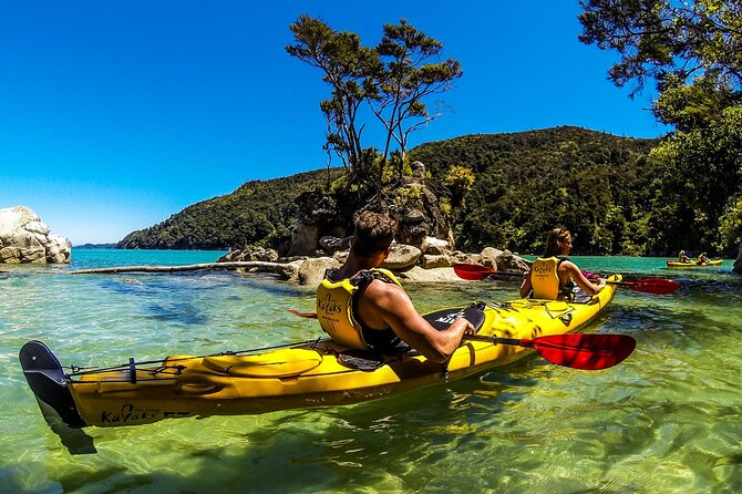 Full-Day Freedom Kayak Rental in New Zealand - Gear, Comfort, and What Actually Helps You Enjoy the Day