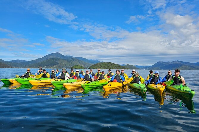 Full day Guided Sea Kayak Tour from Picton - What You Get in the Water: NZ-Made Kayaks and Real Sea-Kayak Gear