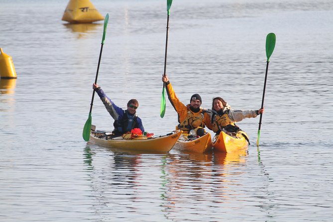 Full day Guided Sea Kayak Tour from Picton - The Marlborough Sounds Section: Secluded Coves and Route Flexibility