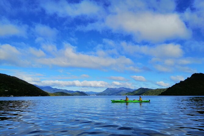 Full day Guided Sea Kayak Tour from Picton - Timing, Weather, and What to Plan for on the Water