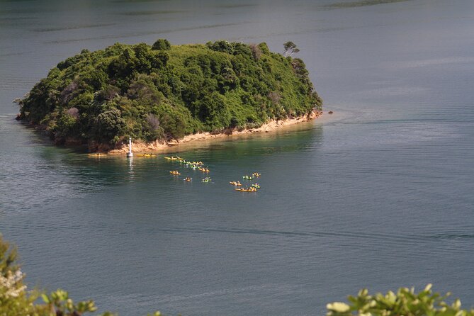 Full day Guided Sea Kayak Tour from Picton - Value Check: Why $105.50 Can Make Sense Here