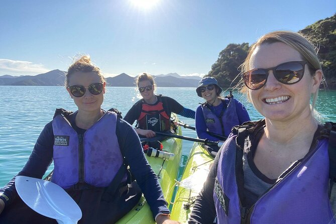 Full-Day Guided Sea Kayak Trip from Picton - Key Points Before You Paddle